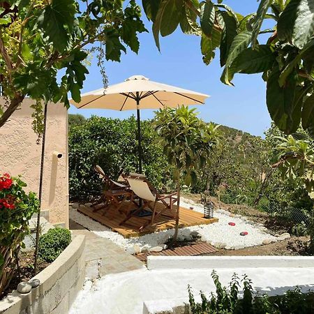 דירות The Garden House, Sitia מראה חיצוני תמונה