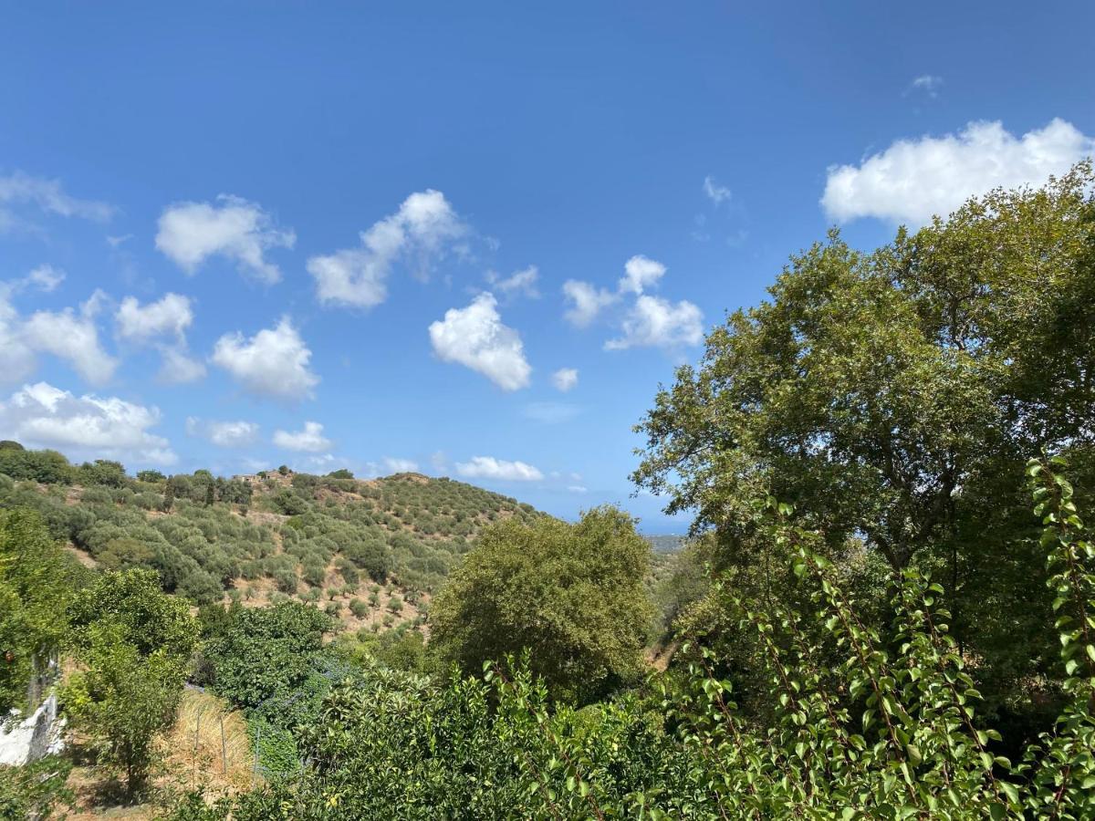 דירות The Garden House, Sitia מראה חיצוני תמונה