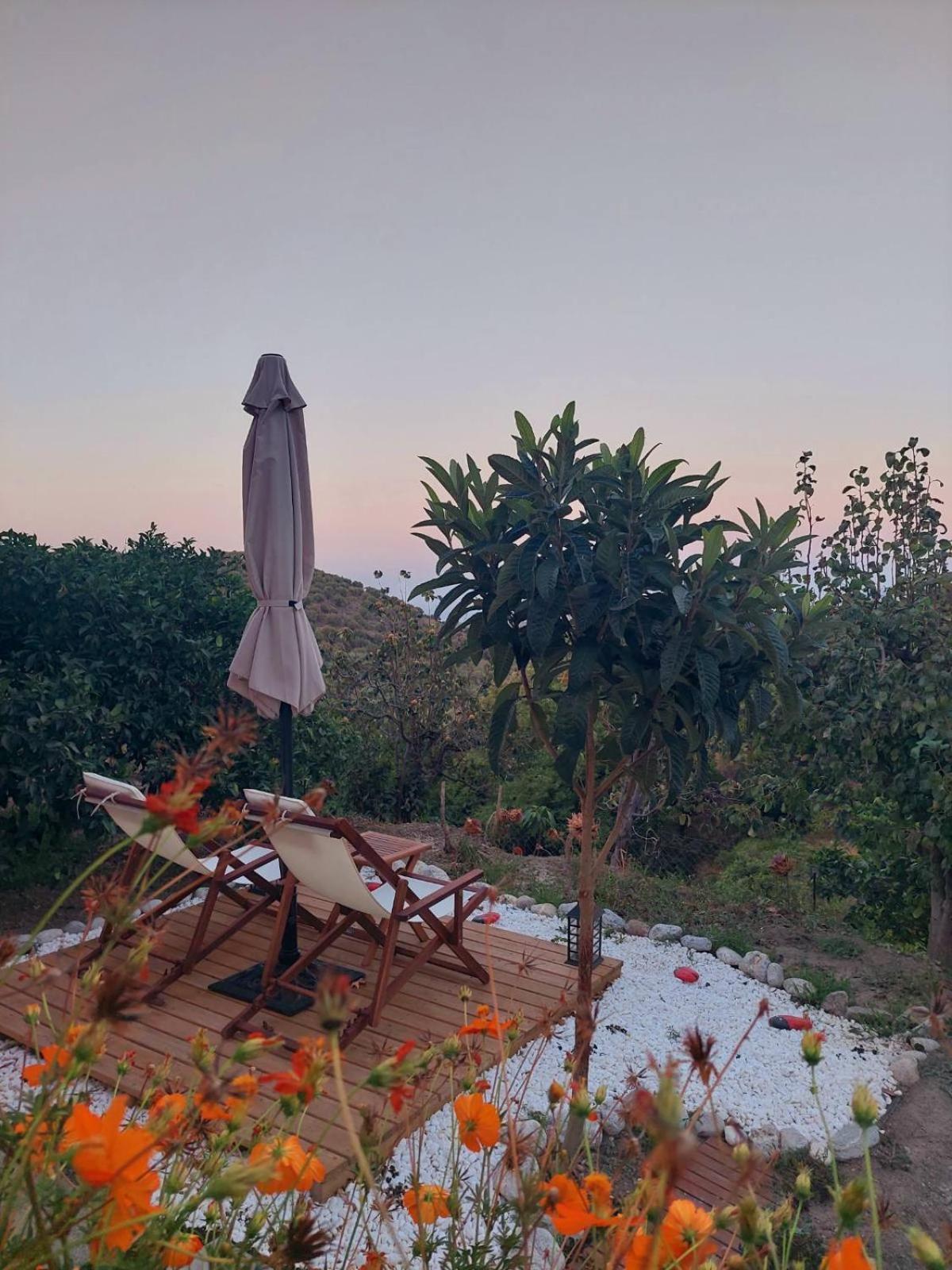דירות The Garden House, Sitia מראה חיצוני תמונה